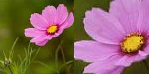 1574062202164838.jpg 只需一部攝像機(jī)即可進(jìn)行動態(tài)實時流式傳輸5.jpg